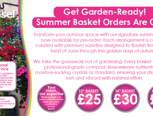 Pre-order your Hansel Hanging Basket