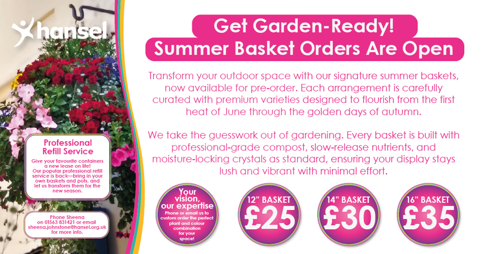 Pre-order your Hansel Hanging Basket