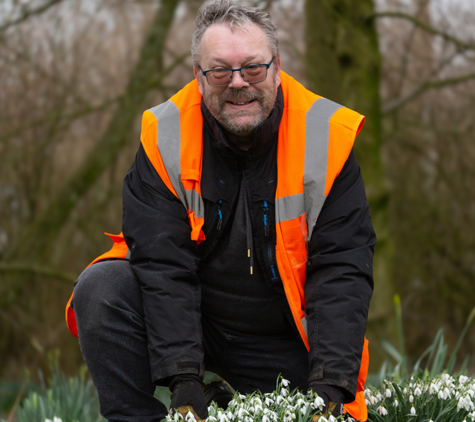 Hansel snowdrops for sale  gallery 0