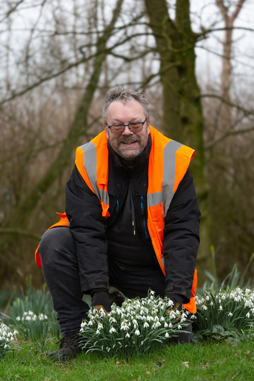 Hansel snowdrops for sale 