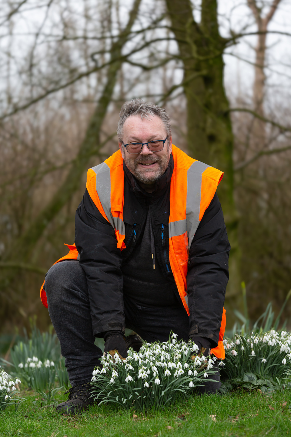 Hansel snowdrops for sale 